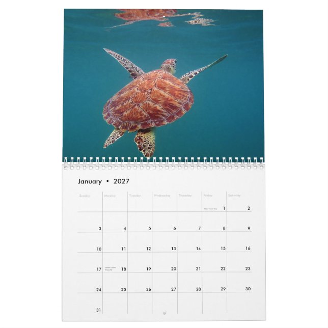 Riviera-Maya-Mexiko-Kalender Kalender (Jan 2027)