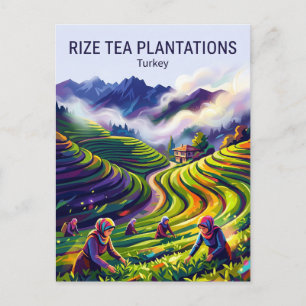 Rize Teeanpflanzungen Türkei Postkarte