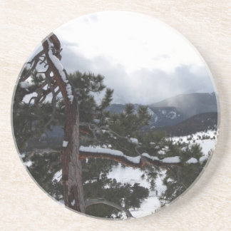 RMNP 1 UNTERSETZER