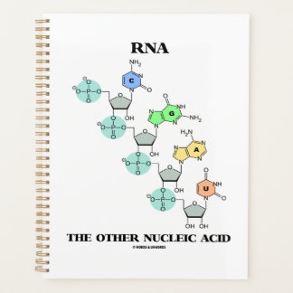 RNA Die andere nucleinsäurehaltige chemische Struk Planer