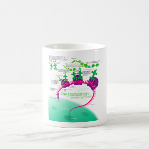 RNS Übersetzung im Protein-Synthese-Diagramm Kaffeetasse