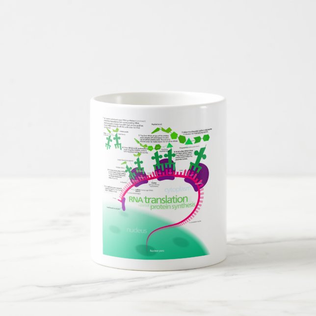 RNS Übersetzung im Protein-Synthese-Diagramm Kaffeetasse (Mittel)