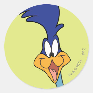 ROAD RUNNER™ Face Runder Aufkleber