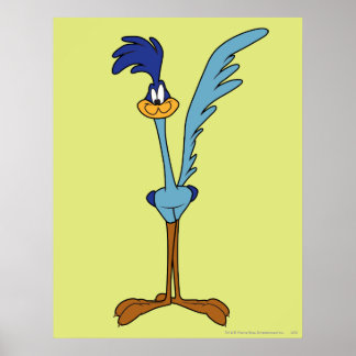 ROAD RUNNER™ in Farbe Poster