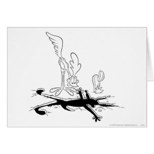 ROAD RUNNER™ und WILE E. COYOTE™ Shaped Hole