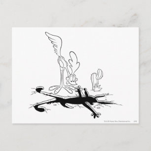 ROAD RUNNER™ und WILE E. COYOTE™ Shaped Hole Postkarte