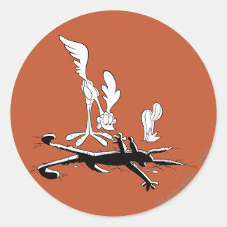 ROAD RUNNER™ und WILE E. COYOTE™ Shaped Hole Runder Aufkleber