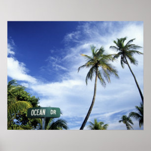 Road-Schild Ocean Drive, South Beach, Miami, Flori Poster
