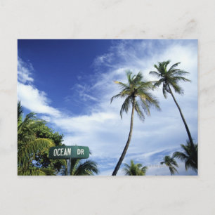 Road-Schild Ocean Drive, South Beach, Miami, Flori Postkarte