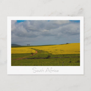 Road South Africa Landscape Postcard Postkarte