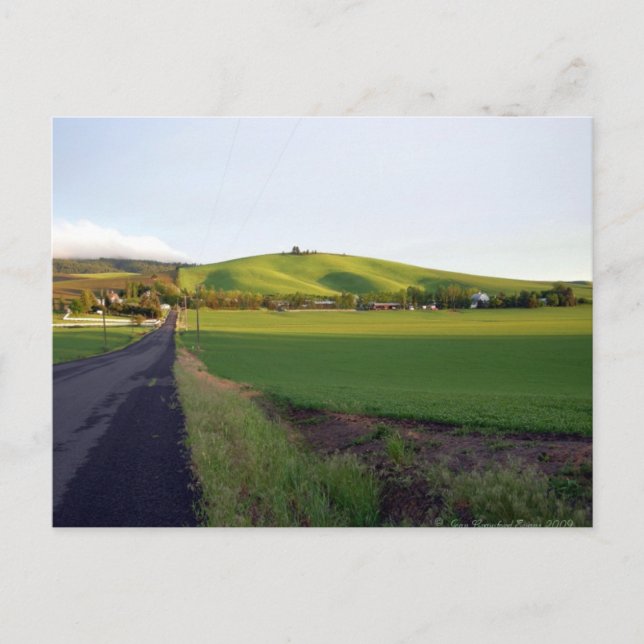 Road Zuhause Postkarte (Vorderseite)