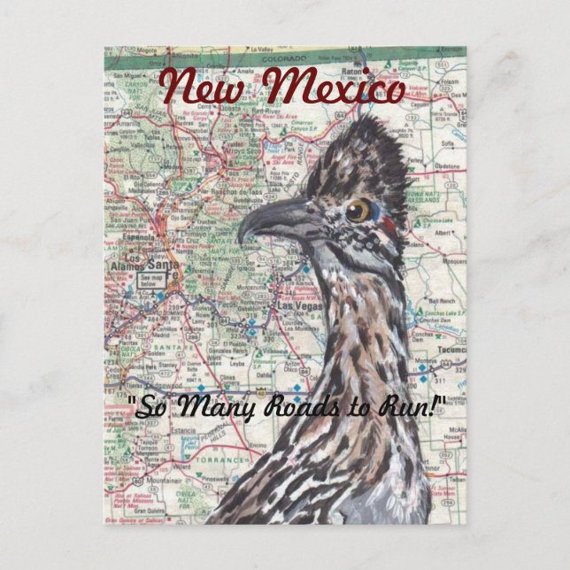 Roadrunner auf Karte New Mexico Postcard - Spaß! (Vorderseite)