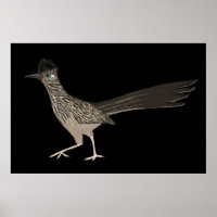 Roadrunner Colored Pencil zeichnend auf schwarz
