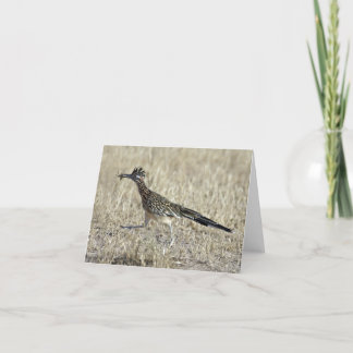 Roadrunner Fotograph Note Card Karte