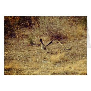 Roadrunner Grußkarte + weißer Umschlag