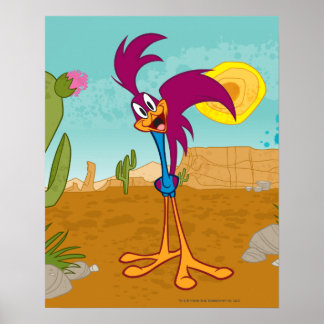 Roadrunner Head Tilt Poster