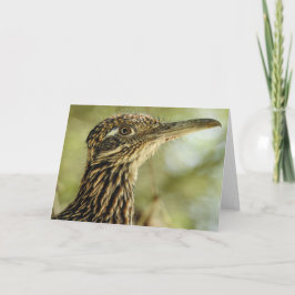 Roadrunner Notecard Karte