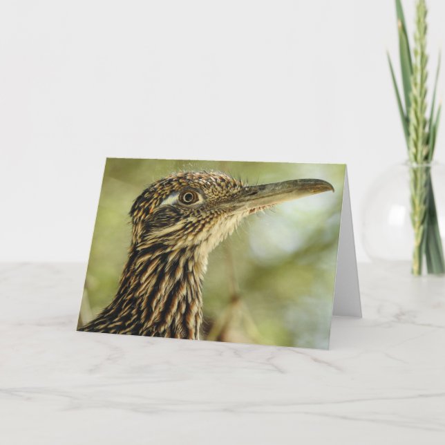 Roadrunner Notecard Karte (Vorderseite)