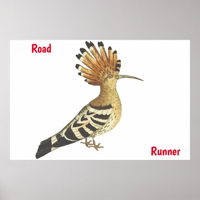 Roadrunner Poster (Vorne)