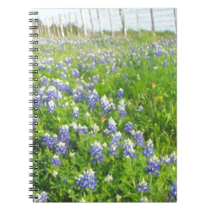 Roadside Bluebonnets Notizblock