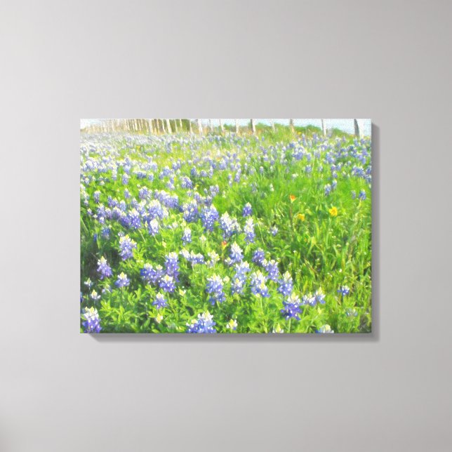 Roadside Bluebonnets Stretted Leinwand (Vorderseite)