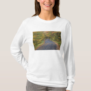 Roadside fallfoliage, Southern Vermont, USA T-Shirt