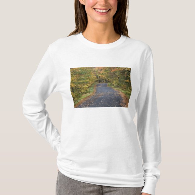 Roadside fallfoliage, Southern Vermont, USA T-Shirt (Vorderseite)