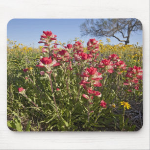 Roadside Wildblumen in Texas, Frühjahr Mousepad