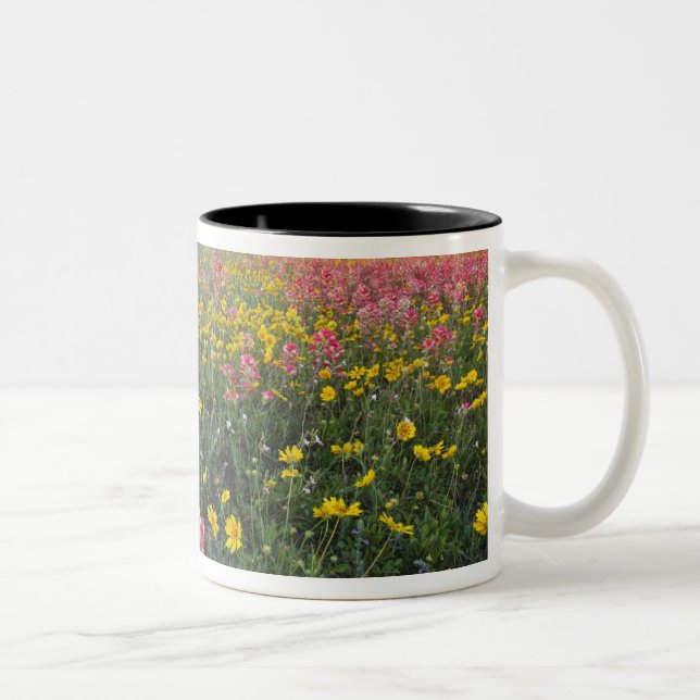 Roadside Wildblumen in Texas, Frühjahr Zweifarbige Tasse (Rechts)