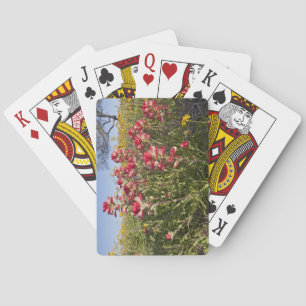 Roadside wildflowers in Texas, Spring Spielkarten