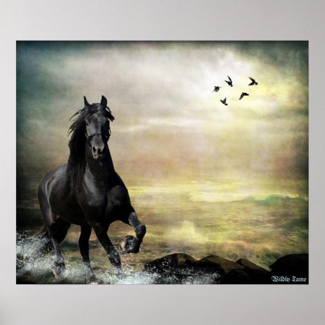 Roam the Tide Poster (Vorne)