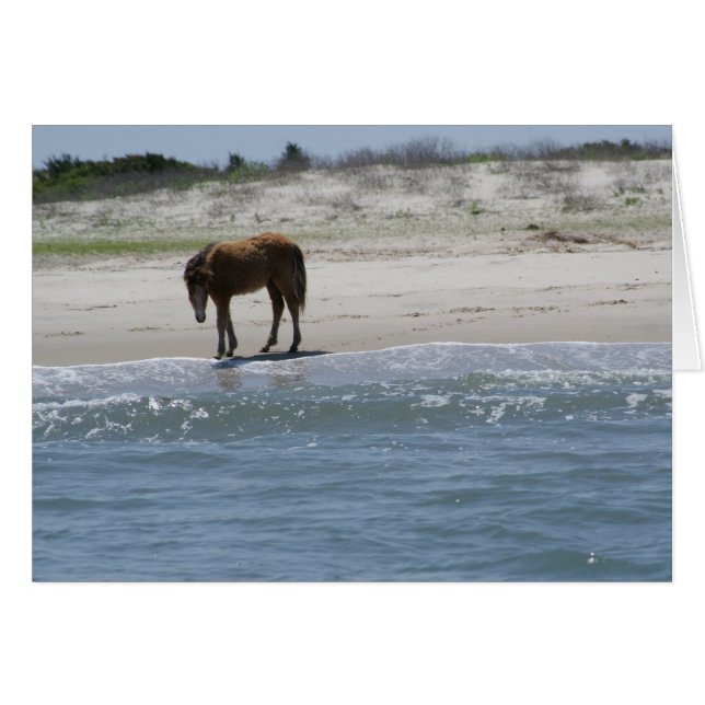 Roamfrei (Vorderseite (Horizontal))