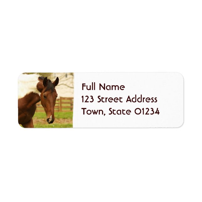 Roaming Paint Horse Mailing Labels (Vorne)