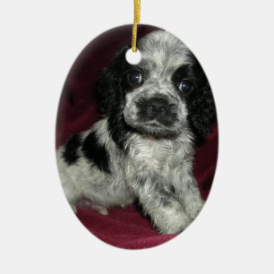 roan Amerikaner-cocker spaniel-Welpe, Apollo Keramikornament