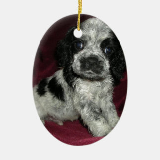 roan Amerikaner-cocker spaniel-Welpe, Apollo Keramikornament