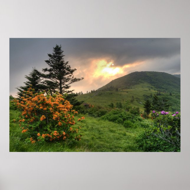 Roan Mountain Art Print Poster (Vorne)