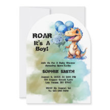 Roar seine a Boy T-Rex Dinosaur Baby Duscharm Arch