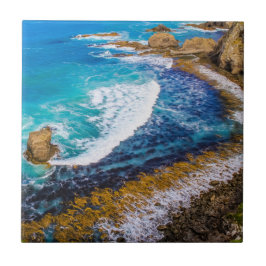 Roaring Bay am Nugget Point Fliese