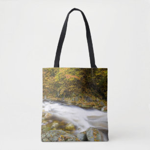 Roaring Brook im Herbst in Vermonts Green