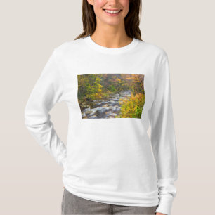 Roaring Brook im Herbst in Vermonts Green 2 T-Shirt