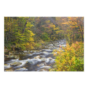 Roaring Brook im Herbst in Vermonts Green Fotodruck