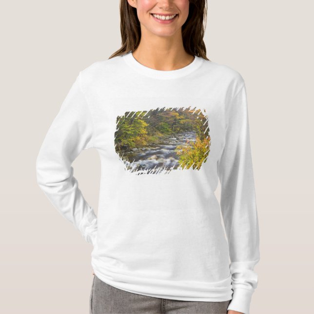 Roaring Brook im Herbst in Vermonts Grünen 2 T-Shirt (Vorderseite)