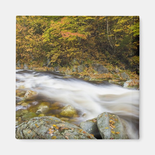 Roaring Brook im Herbst in Vermonts Grünen Magnet (Vorne)