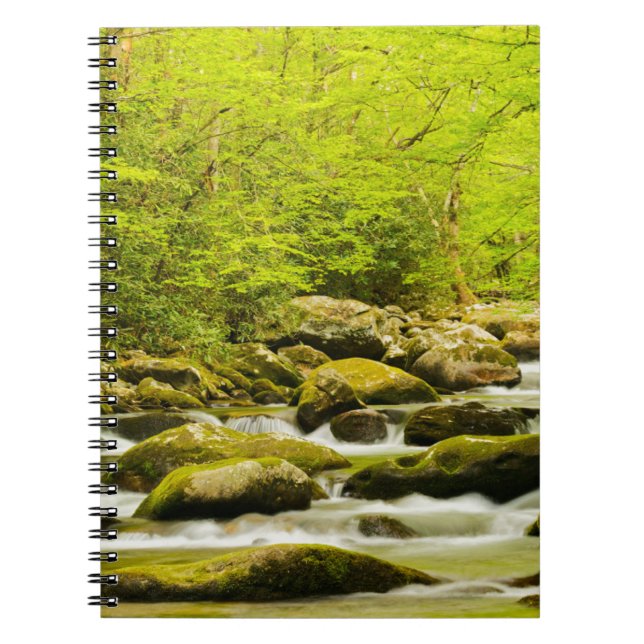 Roaring Fork im Frühjahr Notizblock (Vorderseite)