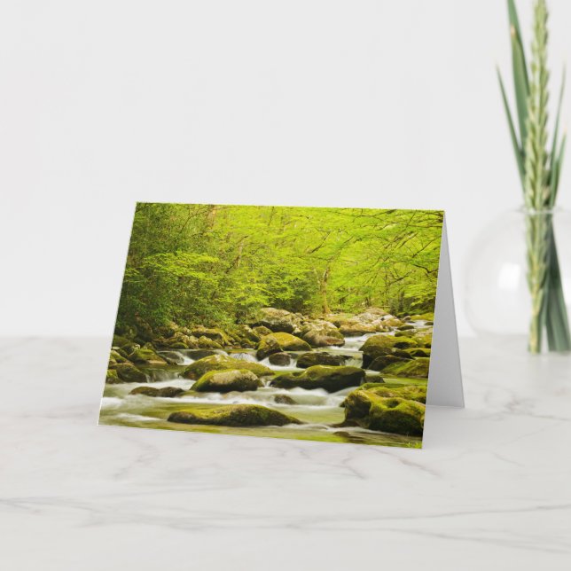 Roaring Fork im Frühling Karte (Vorderseite)