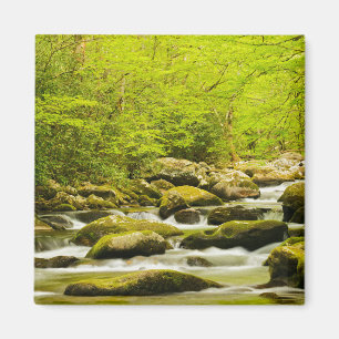 Roaring Fork im Frühling Magnet