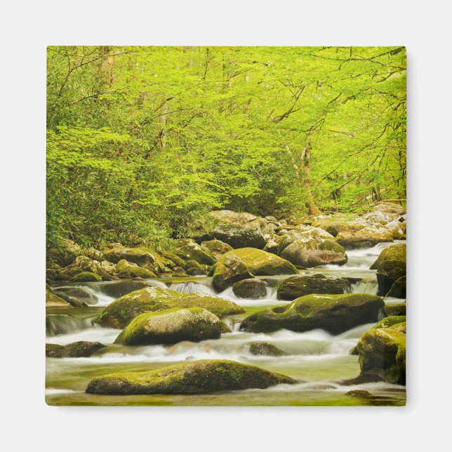 Roaring Fork im Frühling Magnet (Vorne)