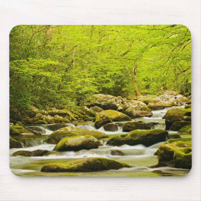 Roaring Fork im Frühling Mousepad (Vorne)