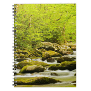 Roaring Fork im Frühling Notizblock