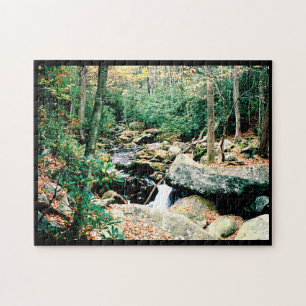 Roaring Fork Puzzle